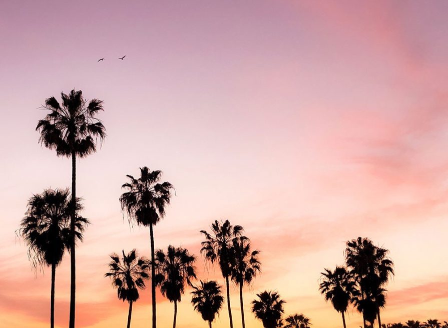New project: Californian retailer